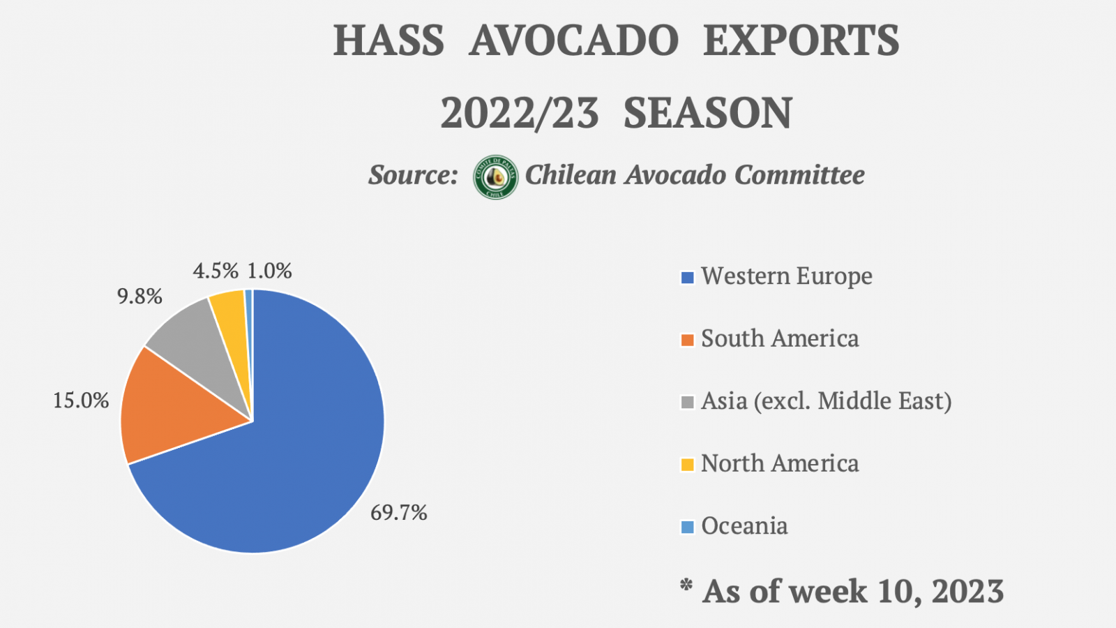 Chilean Avocado Production To Remain Level in Coming Years Produce Report